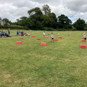 IMG 0079