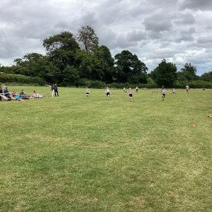 IMG 0113