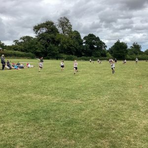 IMG 0114