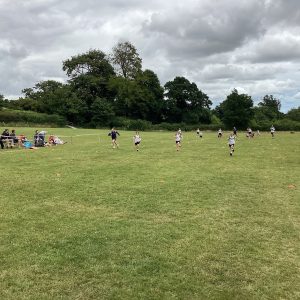 IMG 0117