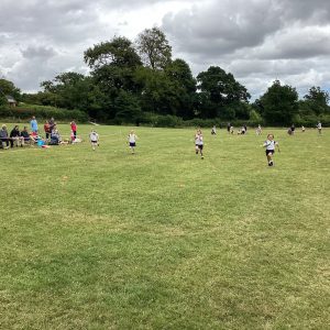 IMG 0119