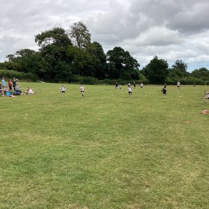 IMG 0121