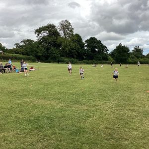 IMG 0124