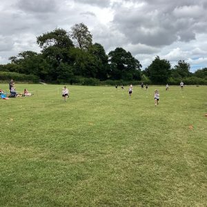 IMG 0125