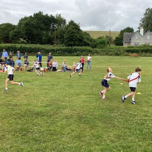 IMG 0137