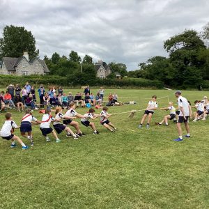 IMG 0159