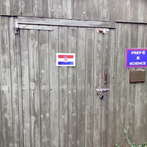 IMG 0313