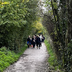IMG 0771