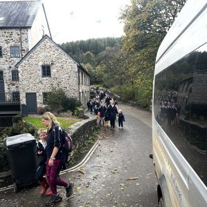IMG 0774