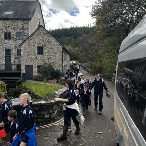 IMG 0775