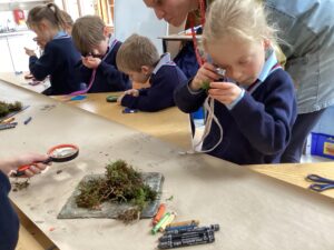 St. Christopher’s Prep School students contributing moss-inspired creations to the Mossy Carpet project.