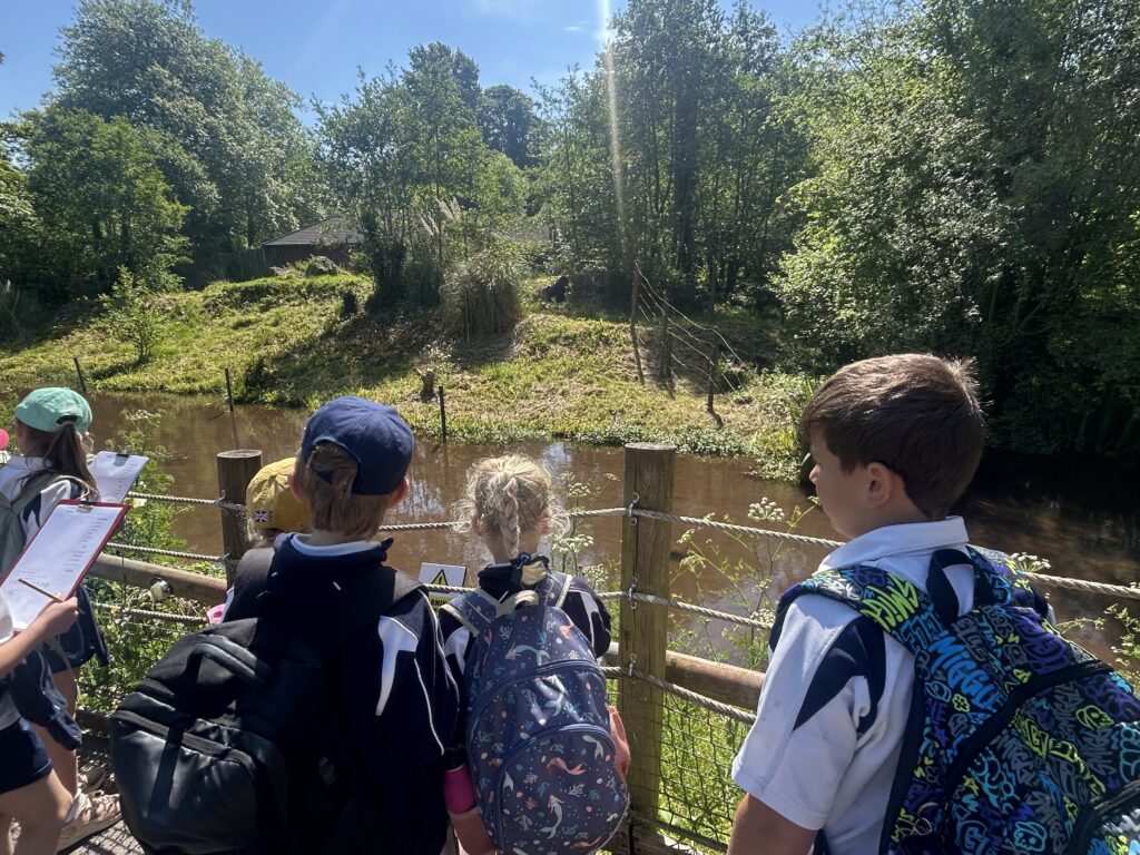 Enrichment week at St Christopher's week was a wonderful experience for all our pupils